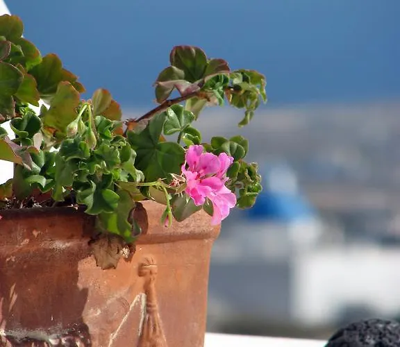 Irida - Santorini Gæstehus 4*