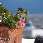 Irida - Santorini Gæstehus 4*